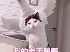 -金记冰室(霎东街店)