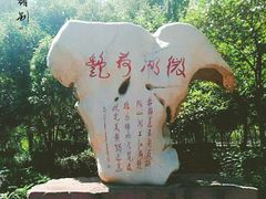 -微山湖红荷湿地景区
