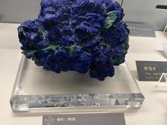 -中国地质博物馆