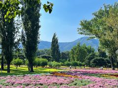 -长白岛森林公园