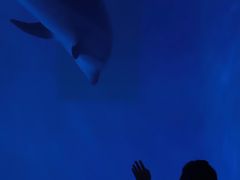 -多彩贵州城极地海洋世界