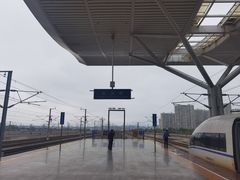 -大碗厨(东风路店)