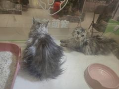 -丽达购物中心(崂山店)