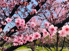 -白塘生态植物园