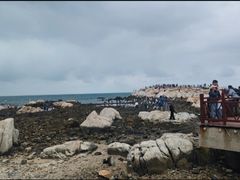 -养马岛旅游度假区