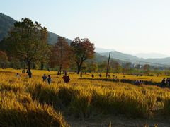 -塔川景区