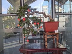 -上海植物园-4号门售票处