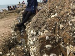 -青岛第二海水浴场