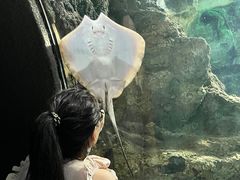 -南昌海洋公园