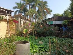 -园林美食城·本土农家菜(杨和镇店)