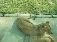 -北京野生动物园