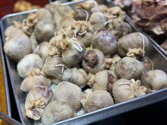 -虢国羊肉汤馆(政二街店)
