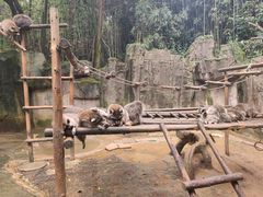 -杭州野生动物世界