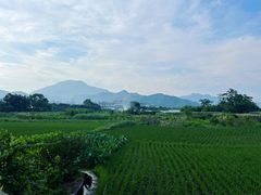 -楠溪江风景名胜区