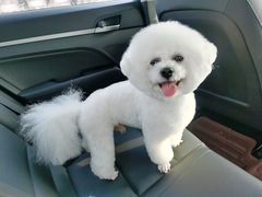 -熊小胖宠物生活馆(天华园店)