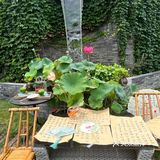 北京荷花宴🪷永远臣服于中式浪漫！！