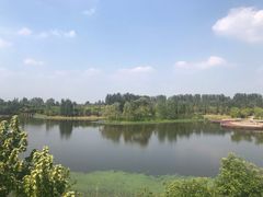 -东郊湿地公园