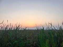 -南汇新城海滩