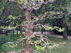 -成都杜甫草堂博物馆