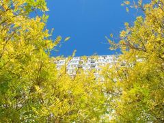 -北京邮电大学