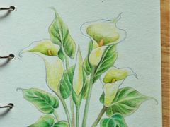 -镇南锅盖面馆(解放路店)