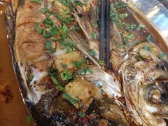 -天怡·鱼工厂(梅溪湖店)