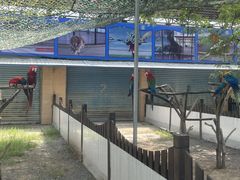 -秦皇岛野生动物园