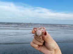 -奉贤海滩