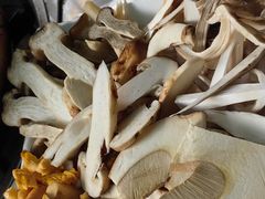 -蘑统田下·野生菌火锅