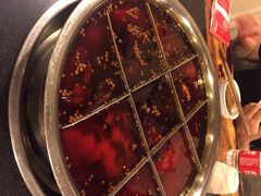 iphone_upload_pic-邓莽子老火锅(鲁祖庙店)