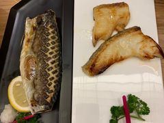 鳕鱼-一本钓鲔鱼屋