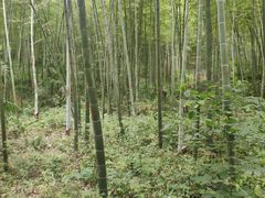 -南山风景名胜区