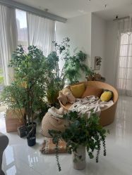 -Baby Pastel 自然光儿童摄影(CBD店)