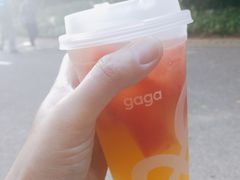 -gaga(深圳福田星河COCO Park店)