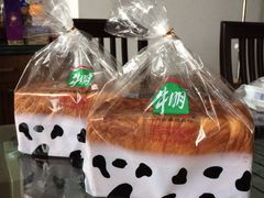 -光明牛奶棚(南泉店)