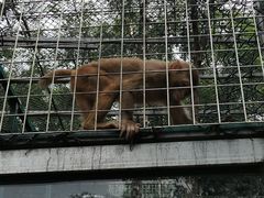 -北京鹿世界主题园