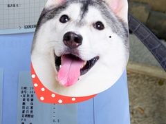 -兔途体检(十里堡青年路店)