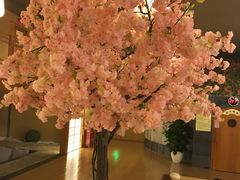 -汤泉良子(金源店)