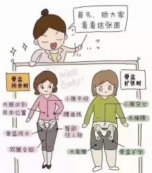 -玛莲朵·海菲秀冰珀科
