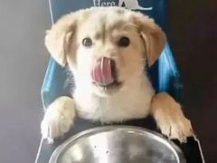 -默玉火锅(新世纪购物中心店)