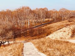 -御道口草原森林风景区