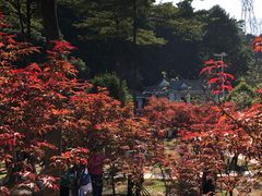 -广州市帽峰山景区
