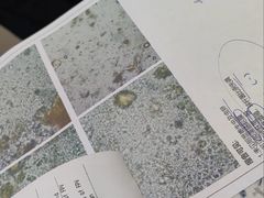 -联合动物医院(光谷诊疗中心)