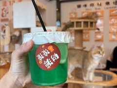 -有喵·猫咖·狗咖·30几只猫10只小狗(岗厦店)