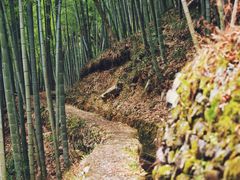 -藏龙百瀑风景区