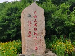 -天女山森林公园