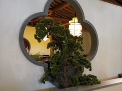 -小江南(高新天泺路店)