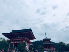 -有栖山 清光院 清水寺