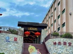 -广州神农草堂中医药博物馆