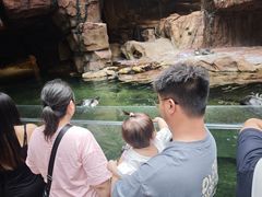 -长鹿旅游休博园